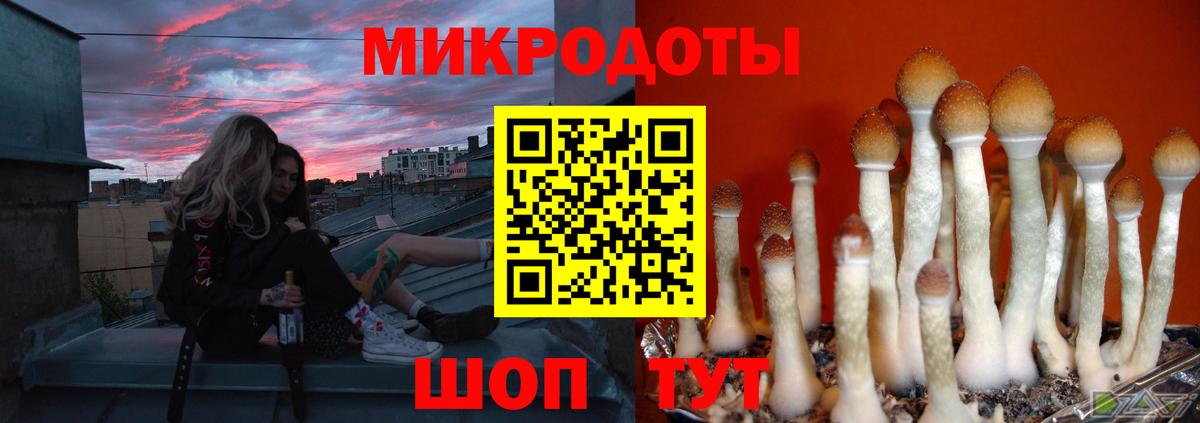 Канаш  Псилоцибиновые грибы мицелий  Вход с VPN  как найти   Псилоцибиновые грибы Psilocybine cubensis 